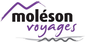 logo MolesonVoyage